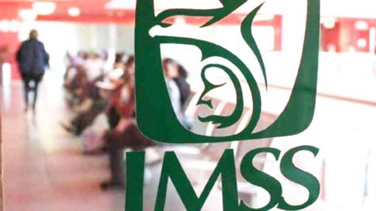 Consideraciones sobre los requisitos del IMSS en servicios especializados