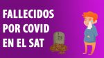 ¿Cuáles son las áreas del SAT con más fallecimientos?