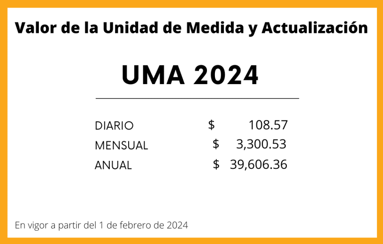 UMA Qu Es Y Cu Nto Vale La Unidad De Medida Y Actualizaci N   UMA 2024 768x490 